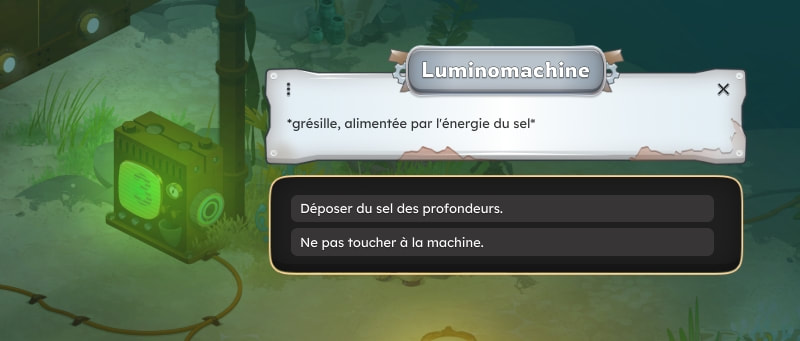 Dépôt de Sel des profondeurs dans une Luminomachine